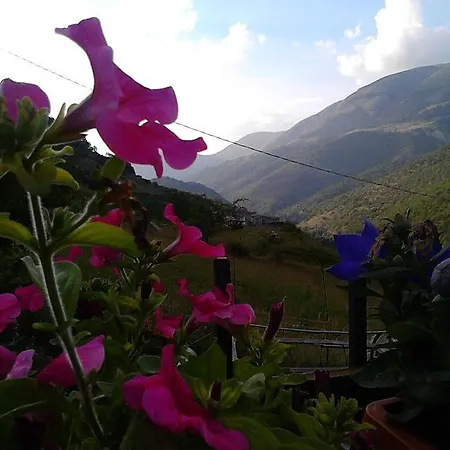 Nyaraló Colarossi
