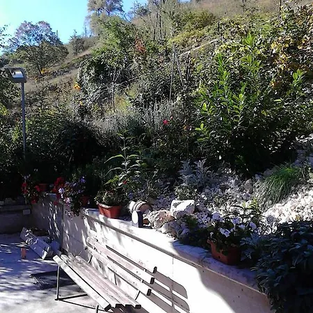 Nyaraló Colarossi *